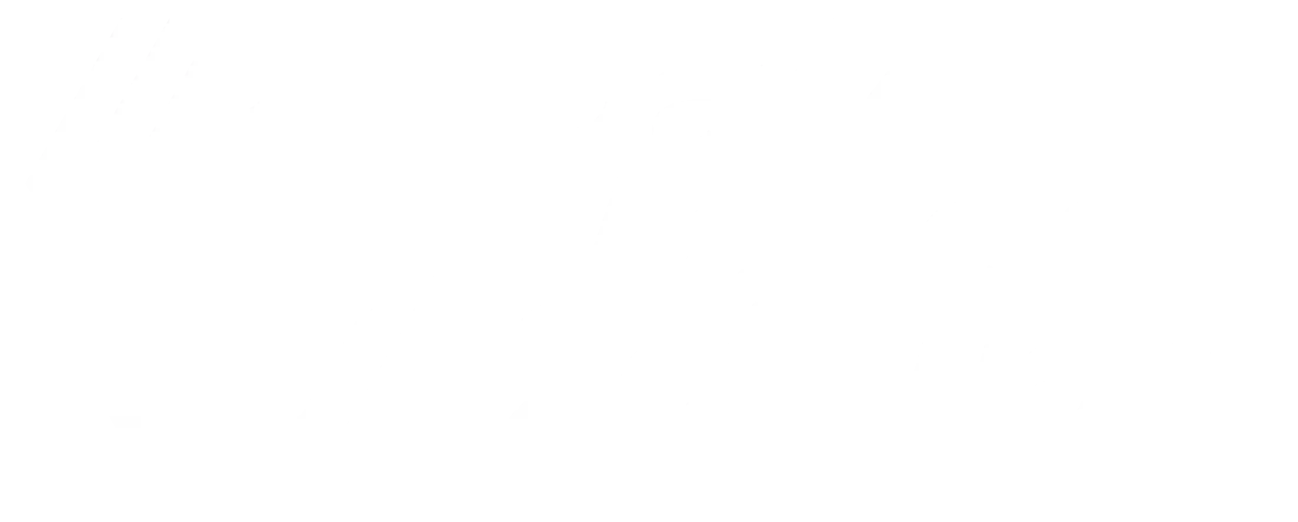 dark matter software logo